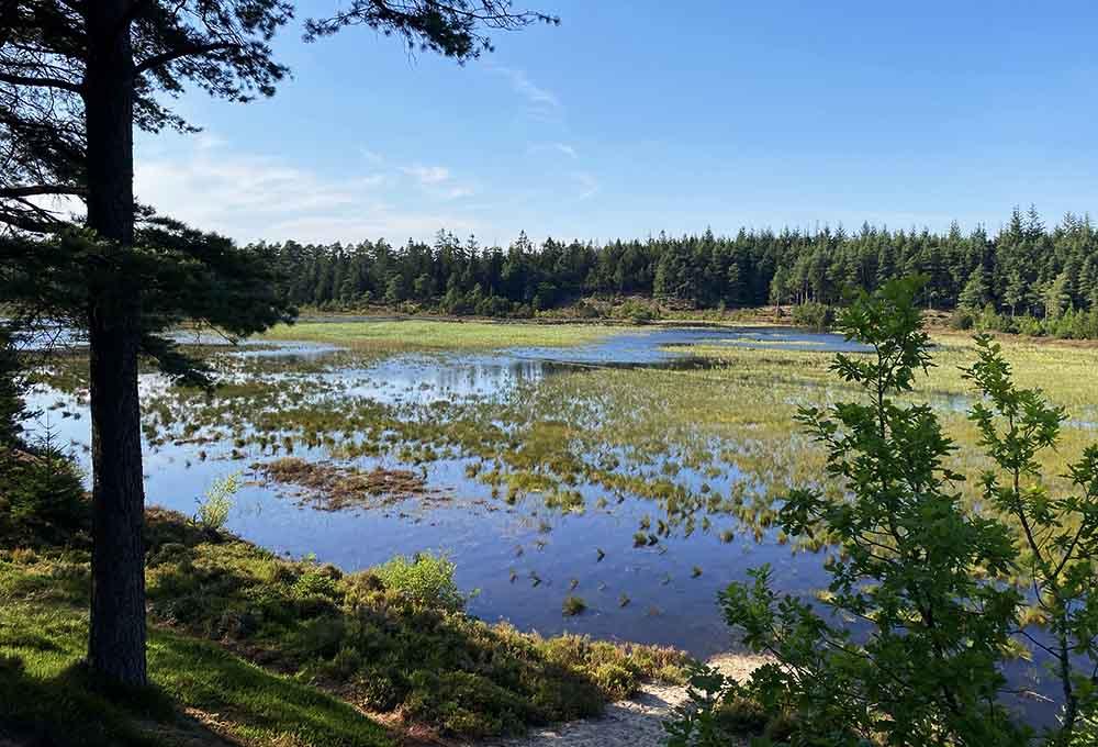 vandretur paa bindeballestien