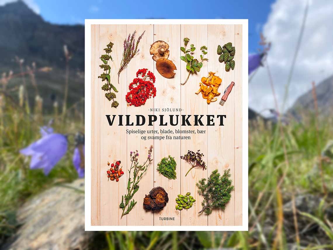 boganmeldelse af vildplukket
